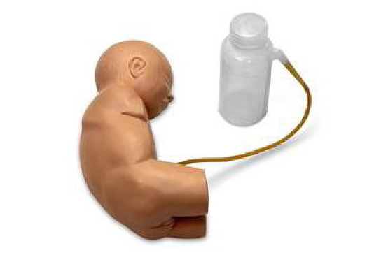 Neonatal LP Models