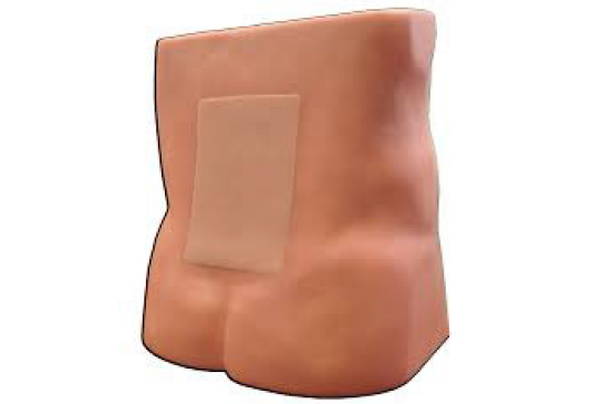 Simulabs Ultrasound Model