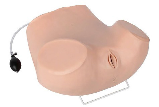 Anatomy Lab Advanced Gynecological Examination Simulator