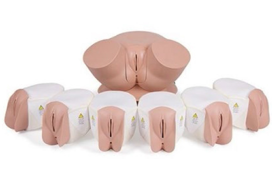 Female Pelvic Exam Trainer (CFPT Mk 3) Accessory Modules