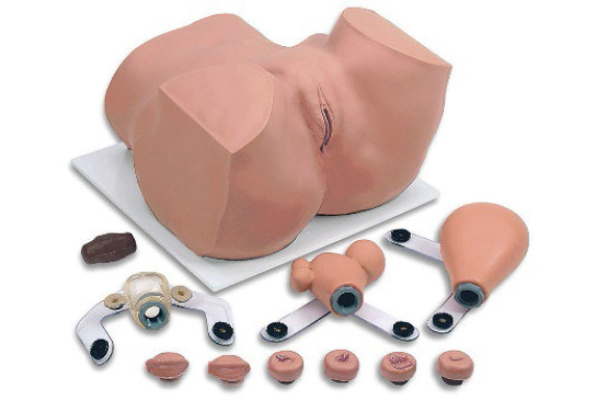 Female Pelvic Exam Trainer – EVA (Simulabs)