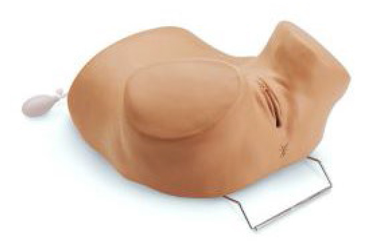 Female Pelvic Exam Trainer (Gaumard)