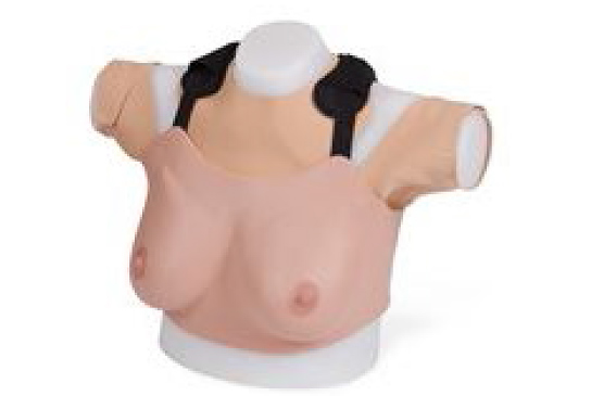 Limbs and Things Breast Exam Trainer (Wearable)