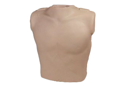 Rubber Torso (Adult)