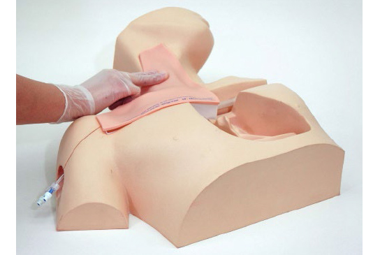 Kyoto Kagaku Central Line Trainer