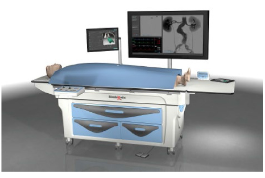 3DSYSTEMS AngioMentor