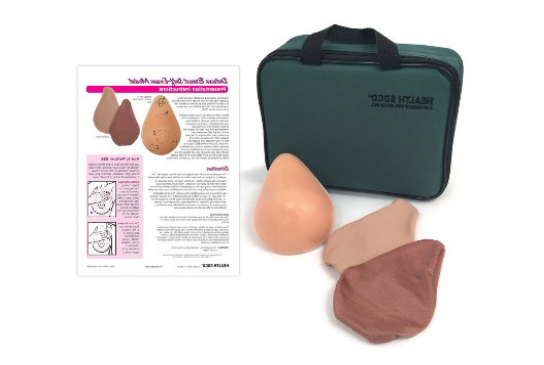 Breast Self-Exam Model