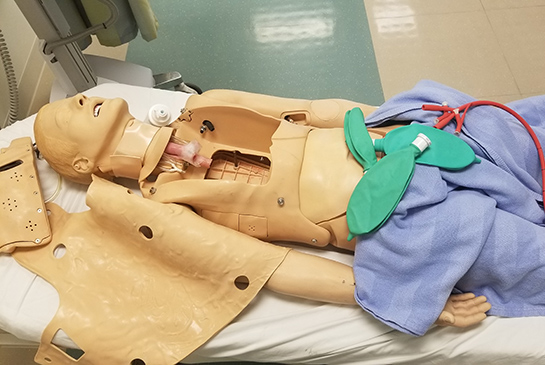 Students learning CPR.