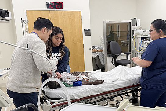 Senior Pediatric Critical Care Fellows