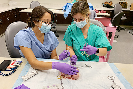 Students learning to suture.