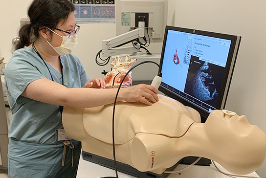 Practicing ultrasound on a task simulator.