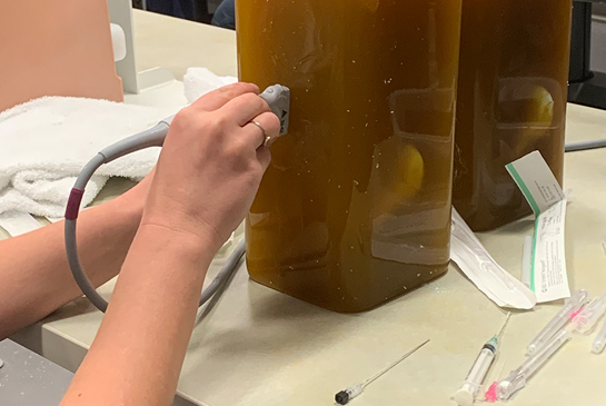 Testing equipment being used on a simulated spine in gelatin.