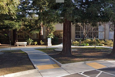 Trees in front of a building.
