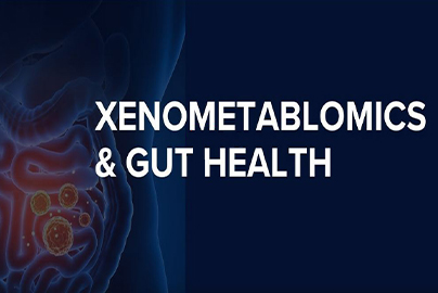 Xenometablomics and Gut Health image