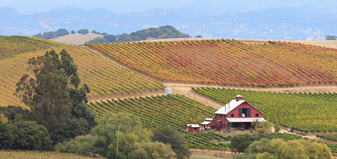 Survey details cancer burden across inland Northern California