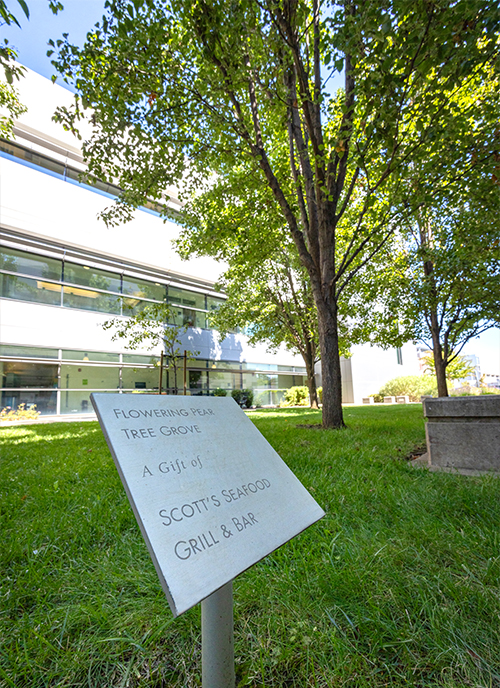 Cancer research funding