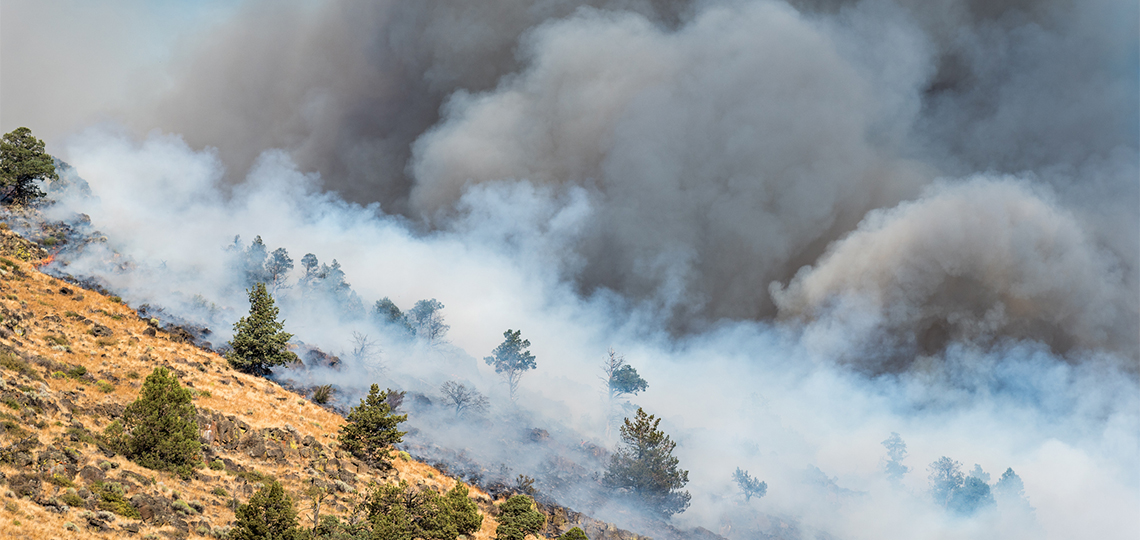 Wildfire pollution may lower survival chances for  lung cancer patients