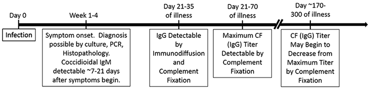 Illustration of a timeline outlining a ‘typical’ Valley Fever disease course.