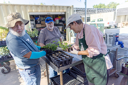 Volunteers helping patients with a gardening project.