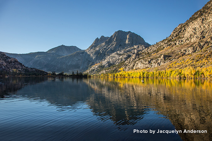 yellow flowers on mountain next to lake reflecting mountains and sky-Photos by Jacquelyn Anderson