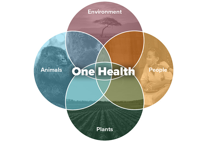 One Health Diagram