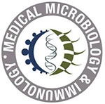 MMI Logo