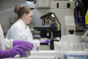 scientists in research laboratory