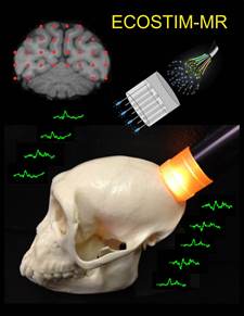 covert visual spatial attention