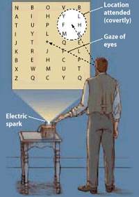 covert visual spatial attention