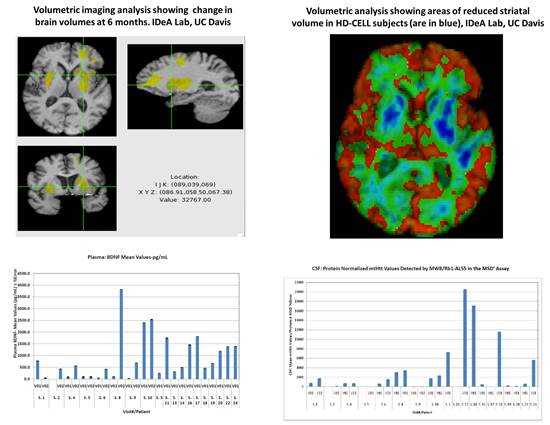 PRE-CELL preliminary imaging & CSF