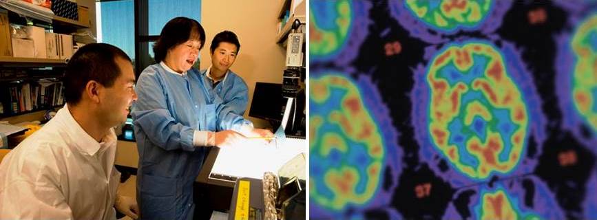 scientists working in a lab and MRI images 