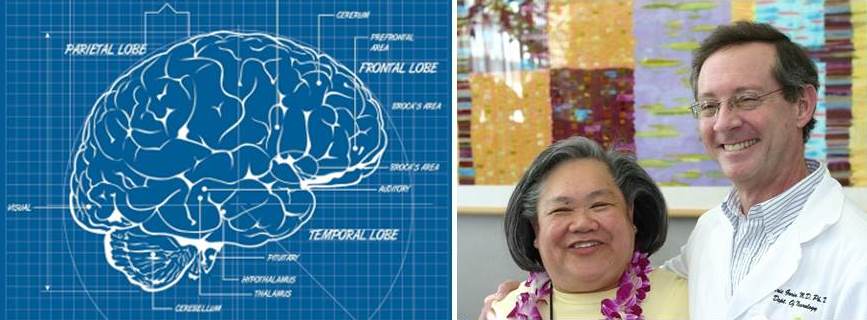 sketch of a brain showing the lobes and photo of a happy doctor and patient