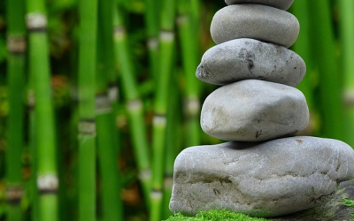 bamboo forest with stacked rocks