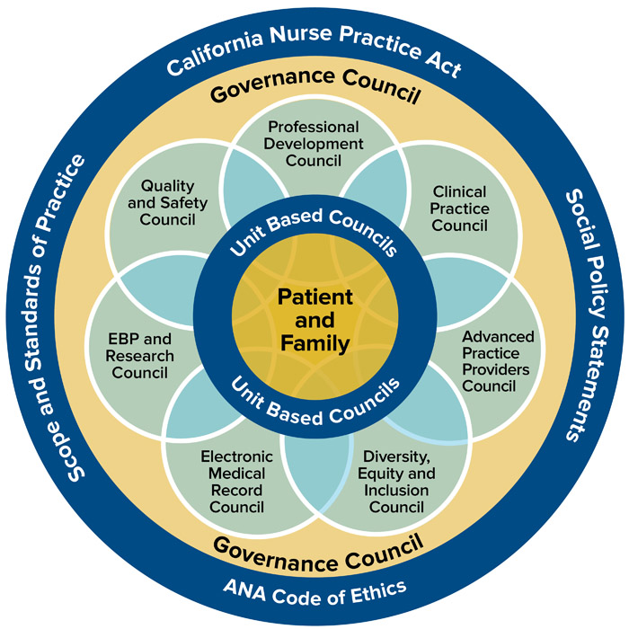 Patient and family unit based councils