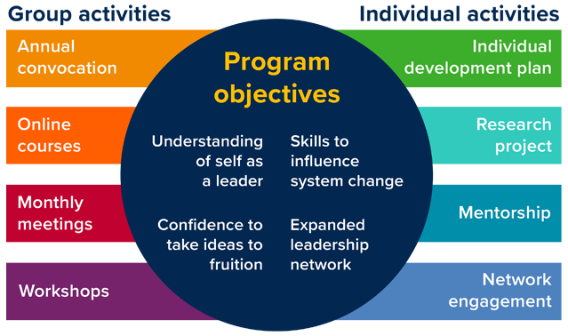 Betty Irene Moore Fellowship for Nurse Leaders and Innovators program elements. (c) All rights reserved.