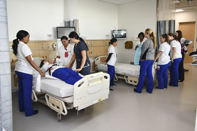 Primary Care Simulation Suite 