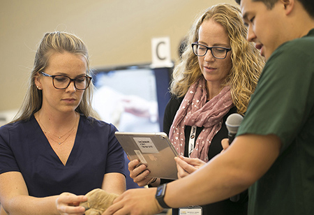 The school’s faculty share commitment to achieve impact through teaching, research and practice