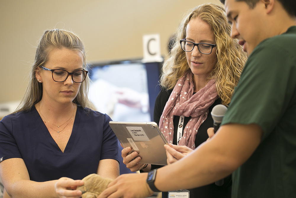 Assistant Professor Cara Sandholdt helps two students with a presentation