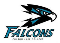 flc falcons