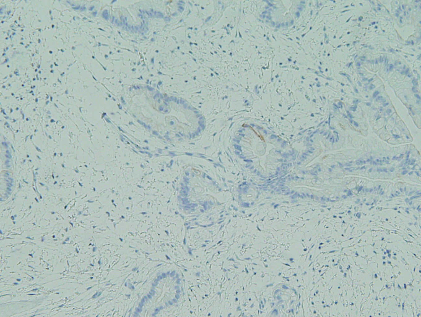 Case of the Month, Mar. 2013: Figure 2