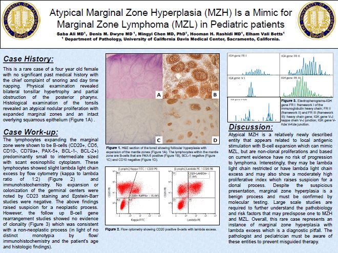 Ali Saba ASCP2016 poster