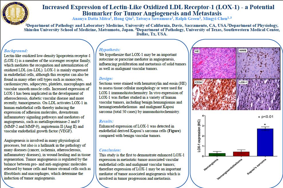 DattaMitra Ananya USCAP 2017 poster