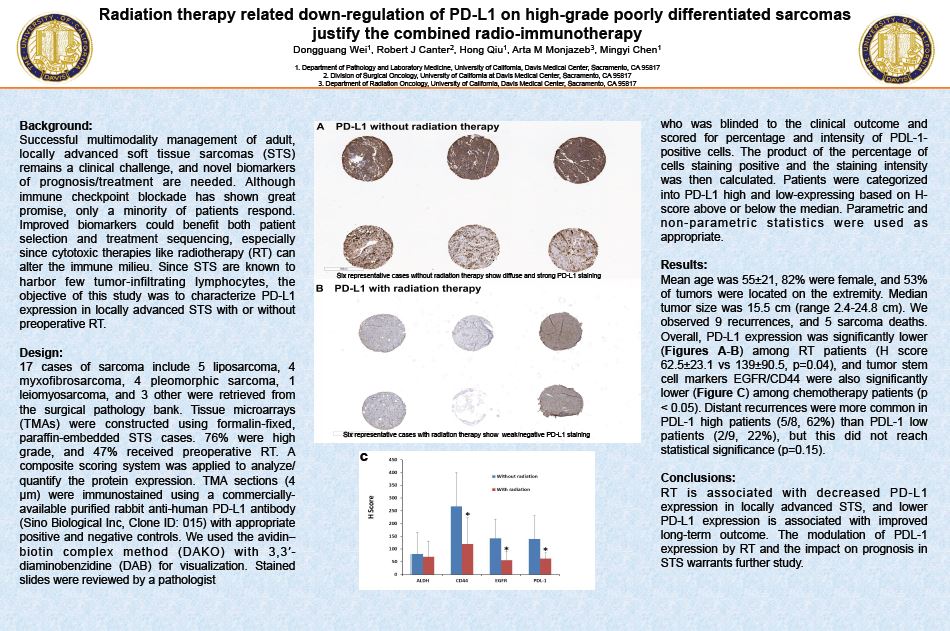 Wei Dongguang USCAP 2017 poster