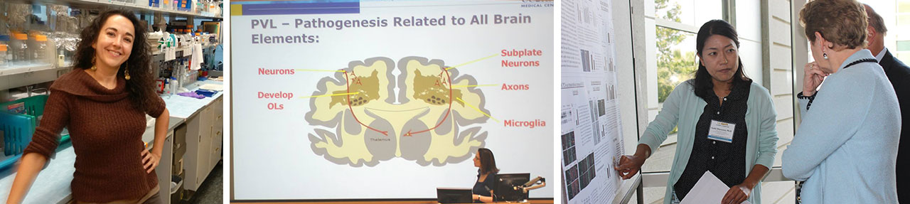 Neuroscience