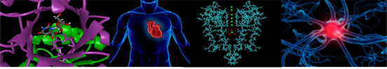 Pharmacology Training Program: From Bench to Bedside