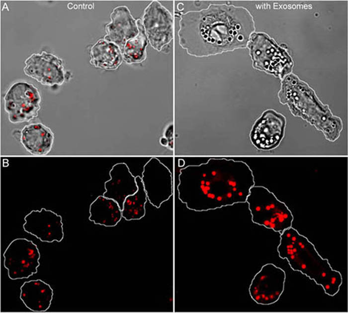 Fig6