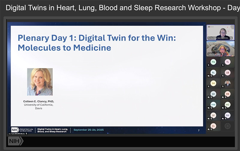 NIH Digital Twins Workshop Presentation