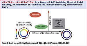 Mechanisms of Chemical Atrial Defibrillation by Flecainide and Ibutilide