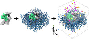 Molecular Simulation System