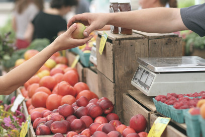 Apples purchased at farmers market